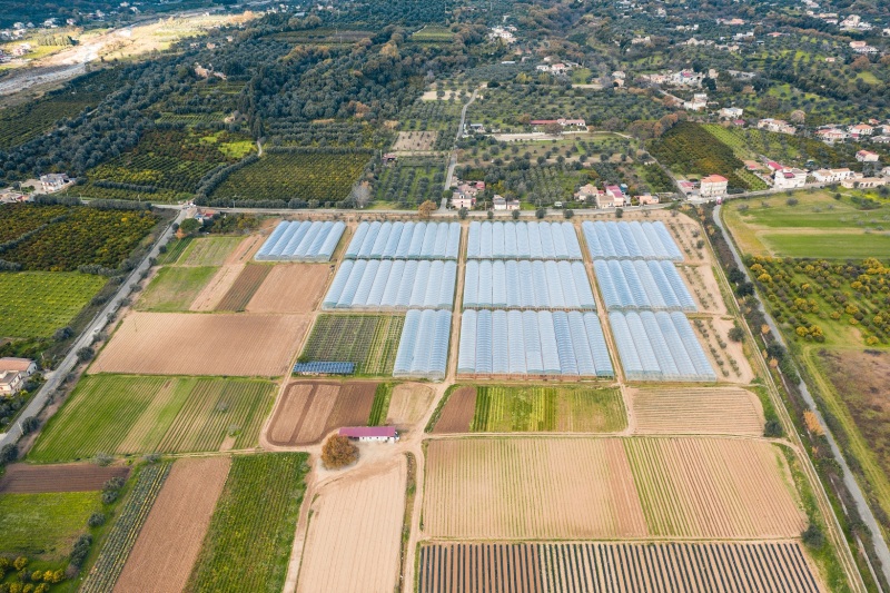 Poliwęglan komorowy